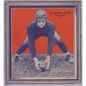 Wheaties football cards